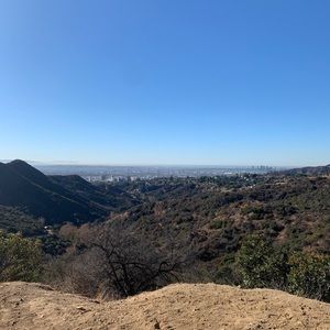 Meet your Posher, Daisy